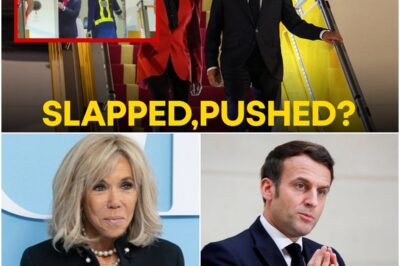 ‘Gutfeld!’: What Macron’s wife really said