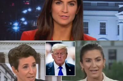 MSNBC Turmoil: Rachel Maddow Joins Forces With CNN Kaitlan Collins After Trump Conviction — A Bold Media Realignment Sparks Fresh Political Firestorm