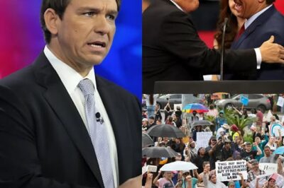 Ron DeSantis Faces Criticism Over Protest-Related Policy Statement