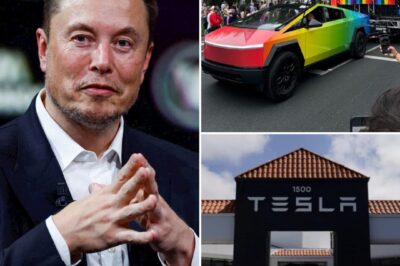Elon Musk Pledges Tesla’s Unwavering Support for LGBT Rights Amid Controversial Backlash