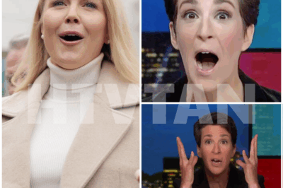 EXCLUSIVE, THIS JUST HAPPENED, Karoline Leavitt SLAMS Rachel Maddow in Shocking On-Air Clash—“How Could You Be So Stupid?” What Happened to Ignite the Tension on Live TV? Intense Plot: The exchange between Karoline Leavitt and Rachel Maddow turned heated when Leavitt hit back with an unforgettable remark, leaving Maddow and the entire studio in shock. What sparked this dramatic confrontation and how did it unfold? Discover the full story now! 👇👇