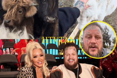 SHOCKING EXPLOSION: Bunnie Xo SECRETLY Adopts ‘Pony Boy’ Behind Jelly Roll’s Back—Viral Video Sends America Into A Frenzy!  In a jaw-dropping moment that’s rocking the internet, Bunnie Xo has quietly adopted a miniature horse, ‘Pony Boy’, behind her husband Jelly Roll’s back, sending fans into a frenzy after a viral video surfaced. What’s the dark secret behind this bold and unexpected move? Is Bunnie Xo the perfect wife, or is she stirring up chaos in her marriage? Will Jelly Roll be furious, or will he melt at the sight of their new family member? Nashville is buzzing, and fans are demanding a response from Jelly—is this a sweet gift or a calculated plot? Social media is exploding, with fans divided over what’s really going on. Is there a hidden agenda behind this drama, or is this just a quirky moment in their relationship? The world is in shock—who’s right, who’s wrong?