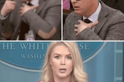 Reporter FIRED After INSULTING Karoline Leavitt on Live TV! In a dramatic turn of events, a reporter was fired after making a humiliating insult toward Karoline Leavitt during a live interview. What started as a routine exchange quickly turned toxic when the reporter crossed the line with a disrespectful comment aimed directly at Leavitt. The tension was palpable as she fired back with a blistering response that left everyone in the room stunned. The backlash was swift, and within hours, the reporter was out of a job. What was said that sparked such a massive reaction, and how did Karoline handle the situation? The shocking details behind this live TV moment are now going viral, and fans are in awe of Leavitt’s strength. You won’t believe what happened next