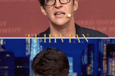 On live television, Rachel Maddow suddenly choked up and burst into tears, forcing her to cut the show short. That rare moment didn’t stem from work pressure, but from the heartbreak she felt while reading about young children being separated from their parents. The image of Maddow struggling to stay composed, only to be overwhelmed by emotion, left viewers in stunned silence. Behind the poise of a seasoned journalist lies a deeply compassionate heart, one that trembles in the face of human suffering. After the show, she apologized for losing her composure — and what she revealed afterward left people even more speechless