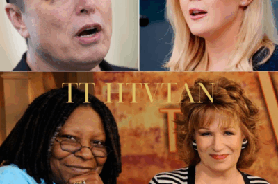 Karoline Leavitt and Elon Musk Raise Alarming Questions About ‘The View’