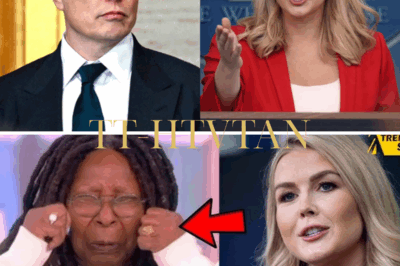 BREAKING: Just 10 minutes ago, Karoline Leavitt and Elon Musk stunned the nation by releasing a shocking exposé targeting ‘The View’. With a vault of video and insider testimony, they claim the daytime show has a “hidden agenda” and a “manipulative script.” Leavitt declared live: “That show is not just a talk show—it’s where narratives are weaponized.” Millions are demanding answers. Is this the beginning of the end for the most controversial panel on television?