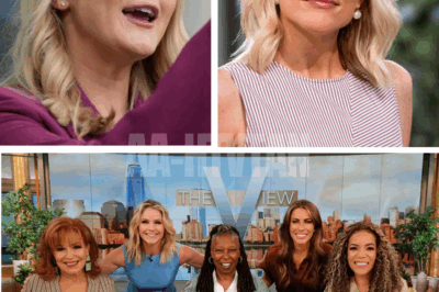 Karoline Leavitt drops courtroom BOMBSHELL that leaves The View in shambles—Megyn Kelly’s 12-word REACTION sends shockwaves through daytime TV and has everyone asking the same burning question