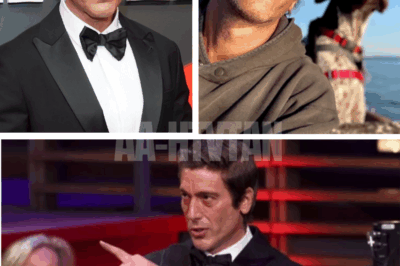 David Muir finally BREAKS SILENCE on viral ‘DADDY’ label — what ABC’s golden anchor just admitted on live mic leaves fans BLUSHING and wondering what emotion he’s really hiding behind the suit