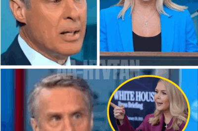 ABC’s STUNNING CUT leaves veteran anchor reeling after ‘world-class hater’ remark—Karoline Leavitt’s UNEXPECTED reaction turns heads and ignites even more controversy inside media circles