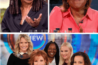 Whoopi Goldberg FIRES BACK at backlash with bold takedown of critics—declares The View is built on HONEST debate, not forced agendas, and warns viewers they’ve misunderstood everything