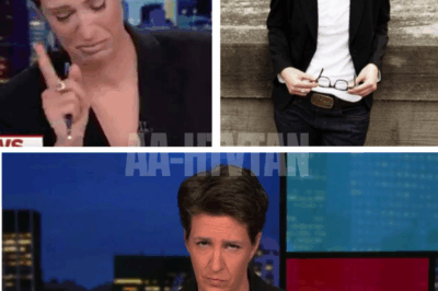 Rachel Maddow finally BREAKS SILENCE on sudden MSNBC exit—reveals the SHOCKING truth behind her next move and the private life she’s kept hidden for years