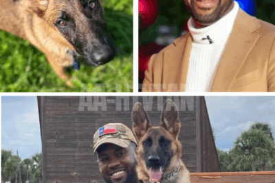 “Almost like a MOVIE”: how one rescue DOG changed Lawrence Jones’ life forever—viewers stunned by emotional scenes that turned this Fox News star into an unexpected symbol of hope