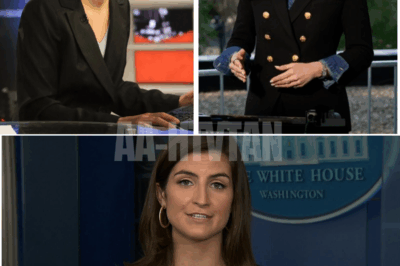 Rachel Maddow and Kaitlan Collins’ SECRET ALLIANCE Unleashed BACKSTAGE CHAOS — Silent Pact EXPOSES Cracks in U.S. Media Power Structure