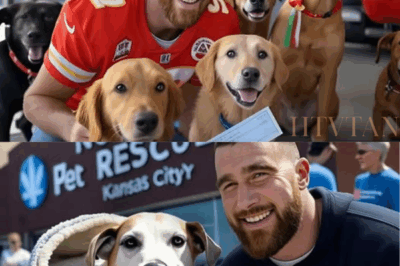 3 MINUTES AGO: Travis Kelce Saves Kansas City Dog Shelter with $750K Donation—But His Surprising Move with the Dogs Has Fans Speechless! Just three minutes ago, NFL superstar Travis Kelce made headlines by rescuing North Pet Rescue, a struggling dog shelter in Kansas City, with a massive $750,000 donation. But it’s what Kelce did next that has stunned the internet: He launched an incredible “dog adoption tailgate” before every Chiefs game! An elderly pup named Buddy quickly became an overnight sensation, capturing hearts nationwide. Fans and animal lovers alike are praising Kelce’s heartwarming decision. What exactly happened with Buddy? The story behind this surprise gesture is melting hearts everywhere—full details revealed below.