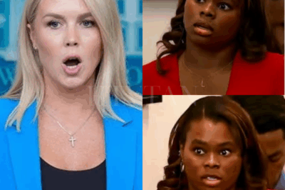 2 MINUTES AGO: SHOCKING TV SHOWDOWN—Karoline Leavitt SHUTS DOWN Reporter Over False L.A. Riot Narrative—You Won’t Believe What She Said In a heated interview that took an unexpected turn, Karoline Leavitt caught a reporter red-handed pushing false claims about the L.A. riots. With precision, Leavitt tore apart the fabricated narrative, and when the reporter attempted to pivot, Leavitt’s facts hit like a ton of bricks, leaving the studio in stunned silence. This shocking takedown has quickly gone viral—what did she say to leave everyone speechless?