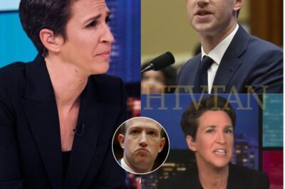 💥 WAR FOR DEMOCRACY: Rachel Maddow DROPS THE HAMMER on Zuckerberg—”Facebook is DESTROYING Elections!” His CHILLING Response Sparks Nationwide Outrage! ⚖️🔥  In a televised confrontation that could reshape social media forever, MSNBC’s Rachel Maddow unleashed a scathing takedown of Mark Zuckerberg, exposing how Facebook’s algorithms allegedly manipulated voters in key swing states. Explosive internal documents reveal Zuckerberg’s team knew about foreign interference but did nothing—until Maddow’s shocking revelations went live. As the tech billionaire scrambled to defend his empire, Maddow dropped one final bombshell that left the studio audience gasping. This isn’t just about politics anymore—it’s a battle for the soul of American democracy.  WATCH the uncensored showdown before Facebook REMOVES it—click NOW! 👇