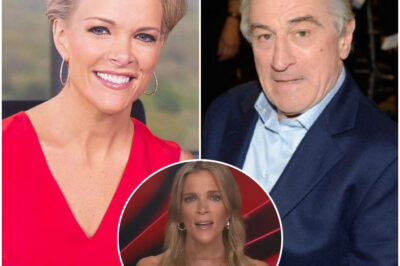 Robert De Niro’s 8-Word Response Leaves Studio Stunned After Megyn Kelly Calls Him ‘Extremely Stupid’ on Air! In a jaw-dropping moment during a live broadcast, Megyn Kelly bluntly called Robert De Niro “extremely stupid,” triggering an explosive reaction. But De Niro’s response—just 8 words—left the entire studio in stunned silence. His words were sharp, measured, and powerful, turning the tables in a way no one expected. What did he say that completely shifted the tension in the room? This moment is going viral—you won’t believe how De Niro handled the confrontation!