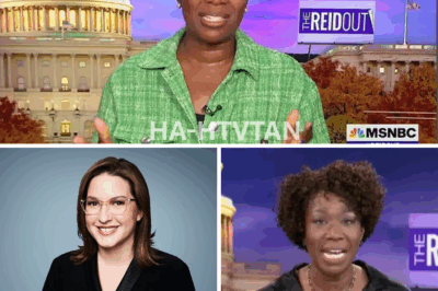 Former MSNBC Star Breaks Silence on Her Firing—But Her ‘Real’ Reason Will Leave You Questioning Everything!  A former MSNBC star is finally speaking out about the reasons behind her firing from the network, but her version of the story might not be what you expect. While she claims to have uncovered the “real” reason, the truth seems to be shrouded in mystery, leaving more questions than answers.
