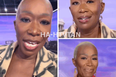 In a rare and jaw-dropping moment, former MSNBC star opened up about the real reason she was fired from the network, claiming her departure wasn’t due to ratings but something far more complex. The explosive revelation, made during a candid interview, has ignited a heated debate about media pressure, politics, and the hidden forces at play behind her ousting.