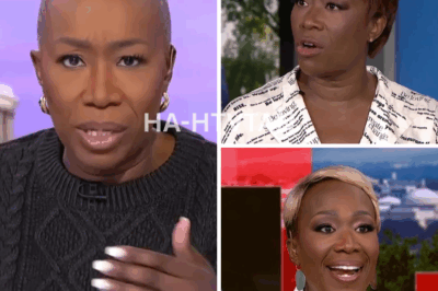 Former MSNBC Star Breaks Silence on Her Firing—But Her ‘Real’ Reason Will Leave You Questioning Everything!