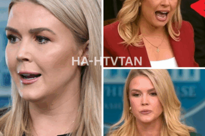 SHOCKING MOMENT: Reporter Pushes Karoline Leavitt Too Far—Instant Regret Follows!