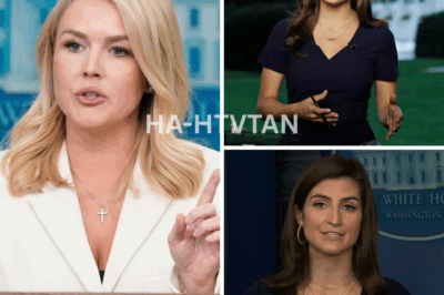 EXPLOSIVE SHOWDOWN: Reporter Pushes Karoline Leavitt Too Far—The Shocking Consequence That Left Them Speechless!