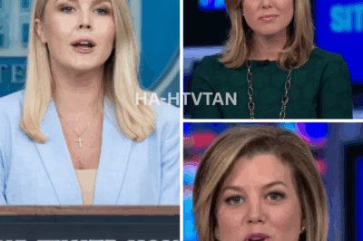 SHOCKING MOMENT: Reporter Attempts to Challenge Karoline Leavitt—Instantly Regrets It After Her Explosive Response!
