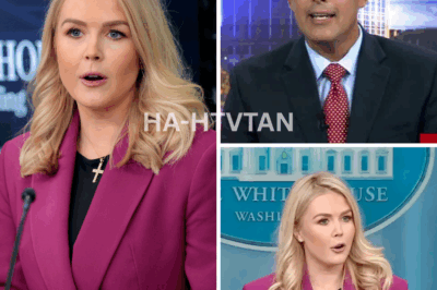 SHOCKING MOMENT: Reporter Tries to Challenge Karoline Leavitt—Instantly Regrets It After Her Devastating Response!