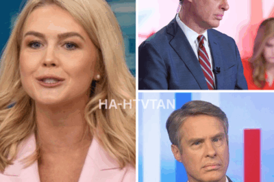 White House Press Secretary Karoline Leavitt FIRES BACK at ABC News Correspondent Terry Moran After Controversial Remarks!