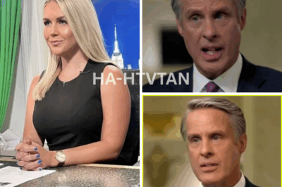 KAROLINE LEAVITT GOES OFF ON TERRY MORAN AFTER HIS “UNHINGED” ATTACK ON STEPHEN MILLER—THE SHOCKING RESPONSE YOU HAVE TO SEE!