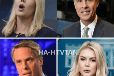 WHITE HOUSE PRESS SECRETARY KAROLINE LEAVITT SHUTS DOWN TERRY MORAN AFTER SHOCKING REMARKS—THE WAR OF WORDS YOU WON’T WANT TO MISS!