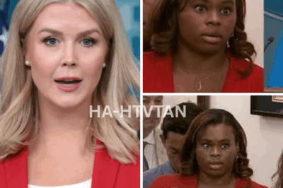 BREAKING: KAROLINE LEAVITT SHUTS DOWN REPORTER OVER L.A. RIOT LIES—THE MOMENT THAT LEFT THE ROOM IN SHOCK!