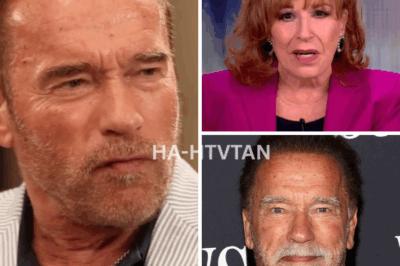 UNFORGETTABLE MOMENT: ARNOLD SCHWARZENEGGER SHUTS DOWN JOY BEHAR’S ATTEMPT TO STIR THE POT ON THE VIEW—The Tension You Didn’t See Coming