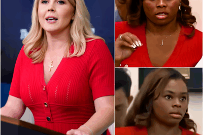 BREAKING: KAROLINE LEAVITT SHUTS DOWN REPORTER OVER L.A. RIOT LIES—AND WHAT SHE SAID LEFT THE ROOM IN SHOCK! What started as a tense interview quickly escalated into an explosive reality check when Karoline Leavitt caught a reporter red-handed pushing false narratives about the L.A. riots. With surgical precision, Leavitt dismantled the reporter’s talking points one by one. But when the reporter tried to pivot, Leavitt fired back with facts so sharp that it left the entire studio frozen. The exchange has since gone viral, with fans praising it as one of her most satisfying takedowns to date. What did she say that completely flipped the script? Get the full, jaw-dropping details below!