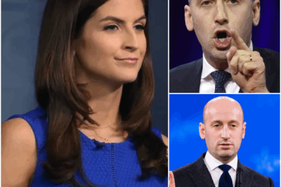 STEPHEN MILLER BRUTALLY TAKES DOWN KAITLAN COLLINS, SHOCKING VIEWERS!