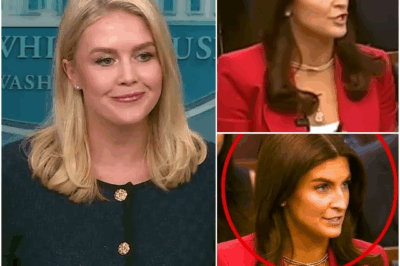 THE USUAL CNN REPORTER GETS SMART WITH KAROLINE LEAVITT, BUT HER RESPONSE IS UNBELIEVABLE! In a tense exchange that had viewers on the edge of their seats, a CNN reporter tried to bait Karoline Leavitt with a sharp remark—but what happened next left everyone stunned. Leavitt’s response was not only quick but so sharp and composed that it completely silenced her critic. The exchange quickly went viral, with fans praising her poise and power in the face of provocation. What exactly did Leavitt say that turned the tables so fast? You won’t want to miss this incredible moment—get all the details below!
