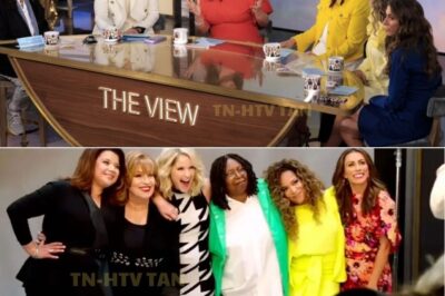 Why The View isn’t on this week and when new episodes return in July 2025