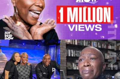 EXCLUSIVE: MSNBC Thought They Silenced Their ‘Dangerous’ Host. Four Months Later, Joy-Ann Reid Has 160,000 Paying Fans—and a Media Empire That’s Making Her Old Bosses Panic.
