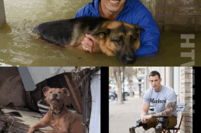Prosthetic Legs Of Fox News’ Johnny Joey Jones Create A Miracle In Texas – At Least 20 Abandoned Pets Rescued From Devastating Floodwaters And Brought To Safety Thanks To The Compassion Of The Veteran Now Host And Editor
