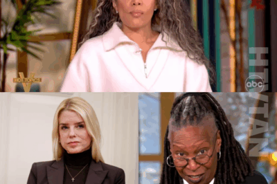 Pam Bondi DROPS A BOMBSHELL on The View—One Sentence Turns the Set into TOTAL CHAOS