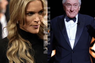 Megyn Kelly Blasts Robert De Niro, Calling Him “Extremely Stupid” in Fiery Hollywood Feud—De Niro’s Shocking Reply