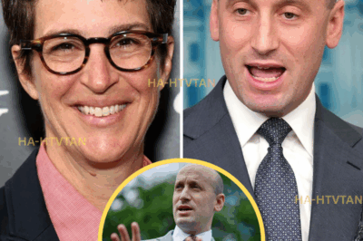 In a stunning moment that left both Washington and the media world reeling, Rachel Maddow delivered a masterful takedown of Stephen Miller that no one saw coming. What started as a typical interview quickly escalated as Maddow, with calm precision, dismantled Miller’s arguments, exposing flaws and contradictions in a way that had everyone in the studio frozen in disbelief.