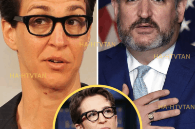 BOMBSHELL: RACHEL MADDOW UNLEASHES FURY ON TED CRUZ AFTER SCANDALOUS $428 MILLION DONATION FRAUD—ACCUSES HIM OF POCKETING FUNDS MEANT FOR TEXAS FLOOD VICTIMS!