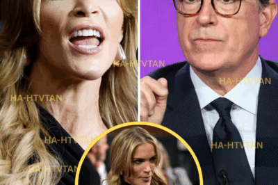 Megyn Kelly Roasted for Nasty Colbert Take: ‘Own a Mirror?’