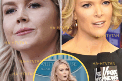 “KAROLINE LEAVITT JUST BANKRUPTED THE VIEW—AND MEGYN KELLY’S 8-WORD RESPONSE LEFT THE INDUSTRY SHAKEN!”
