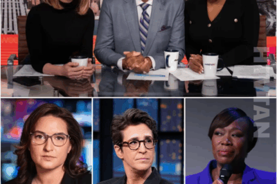 SHOCKING SECRET: MSNBC’s Ratings COLLAPSE and ‘Purge’ After Maddow’s On-Air Slip!