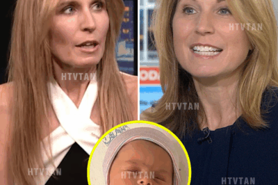 “Nicolle Wallace Announces Another Baby on the Way After Surrogacy Journey—Excitement Builds for Growing Family!”