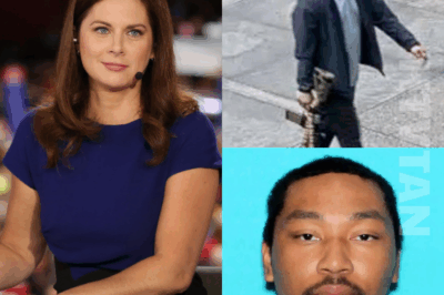CNN Anchor Erin Burnett Criticized for Saying NYC Shooter Shane Tamura Was ‘Possibly White’