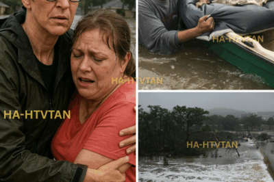 RACHEL MADDOW’S UNEXPECTED MOVE: TURNS HER PRIVATE ISLAND INTO A HURRICANE RELIEF CENTER IN TEXAS—AND THEN SHE DID SOMETHING NO ONE EXPECTED!