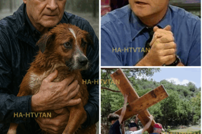 SHOCKING TURN: LAWRENCE O’DONNELL’S HEROIC ACTION IN TEXAS FLOODS LEAVES VIEWERS SPEECHLESS—AND THEN HE DID SOMETHING NO ONE SAW COMING!